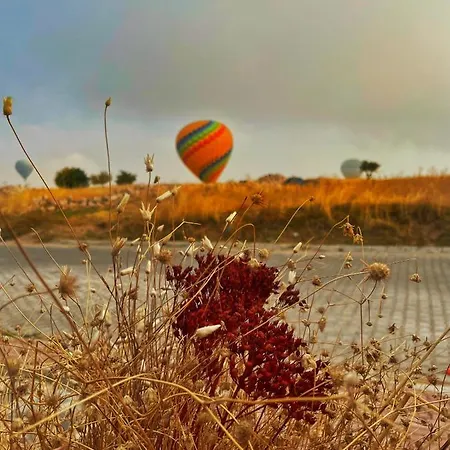 Soleado Cappadocia 酒店 乌奇希萨尔