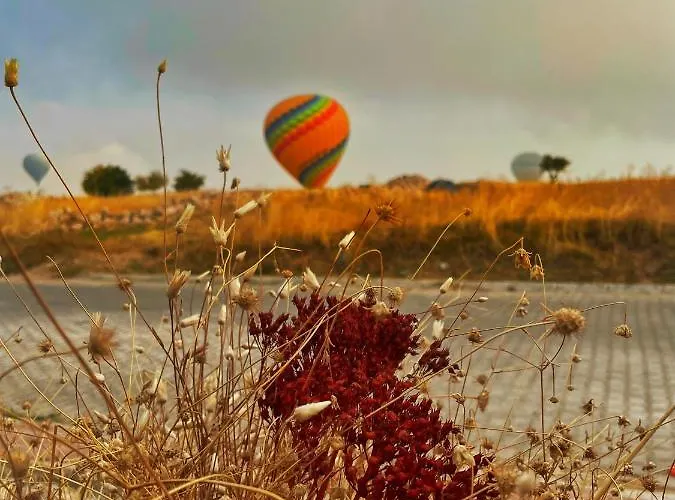 Soleado Cappadocia Szálloda Üçhisar